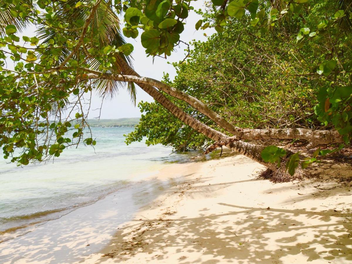 Village Touloukaera plage de Kawan Grand-Bourg (Marie Galante) Extérieur photo