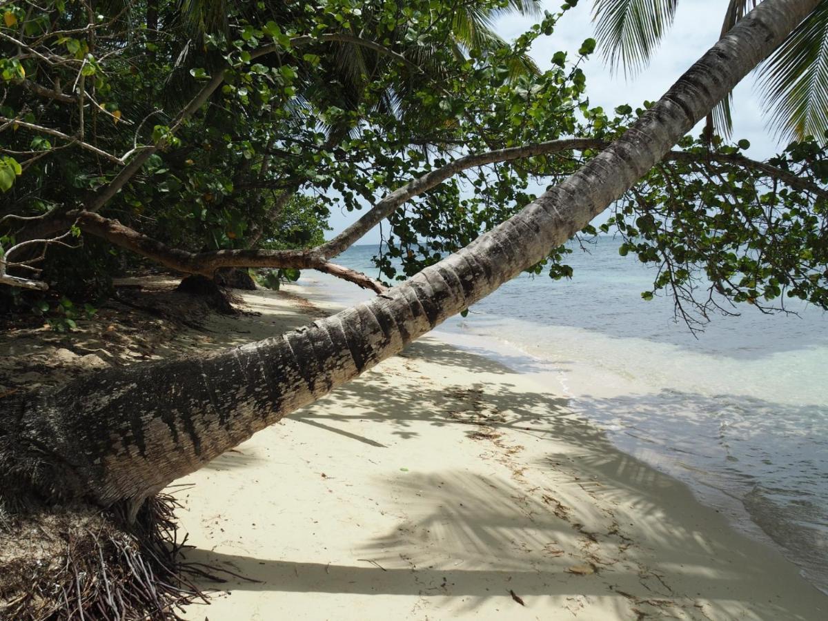 Village Touloukaera plage de Kawan Grand-Bourg (Marie Galante) Extérieur photo