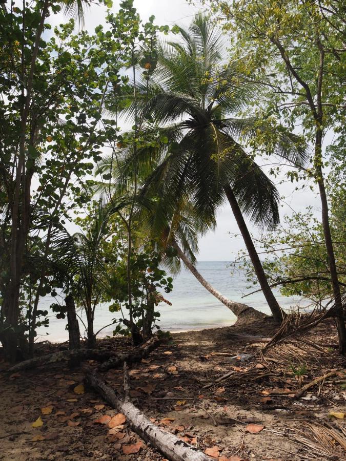 Village Touloukaera plage de Kawan Grand-Bourg (Marie Galante) Extérieur photo