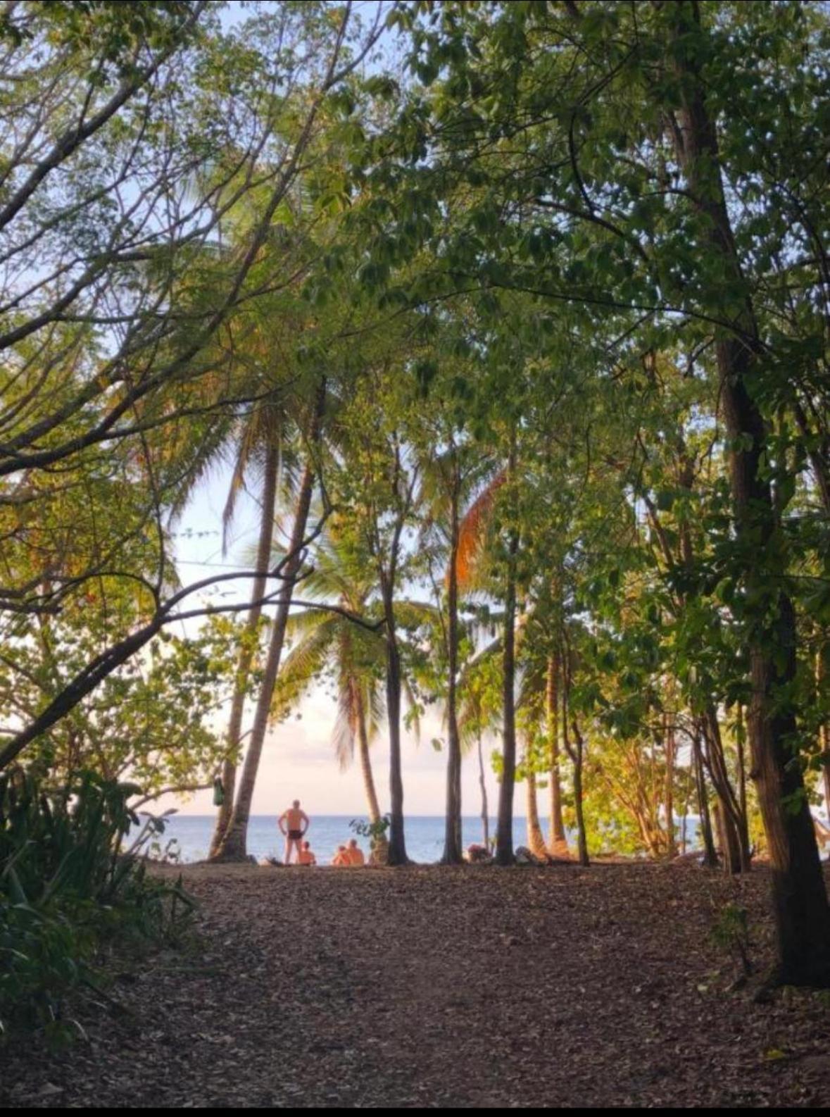 Village Touloukaera plage de Kawan Grand-Bourg (Marie Galante) Extérieur photo
